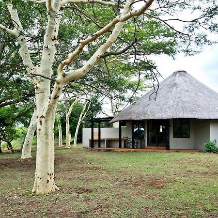 Zululand Safari Lodge Hluhluwe Eksteriør bilde